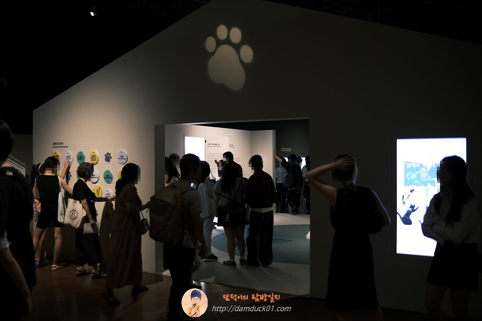 안방을 차지한 고양이