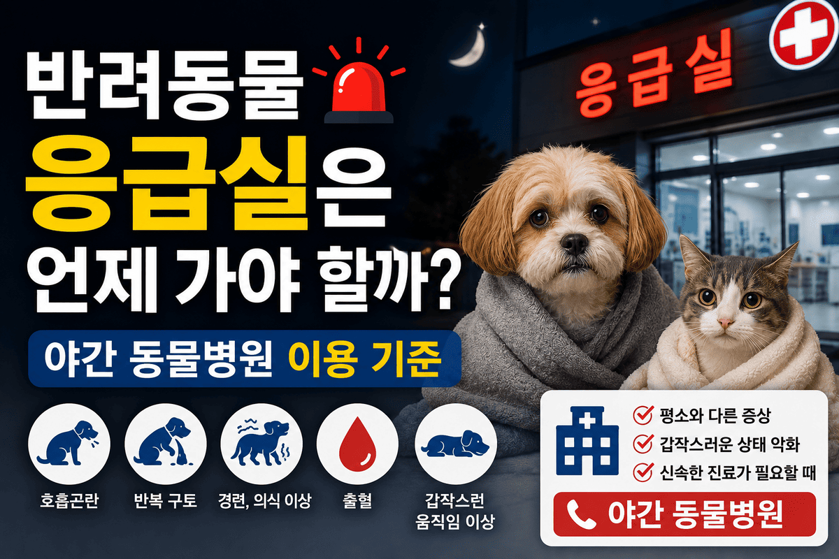 야간 동물병원 이용 기준