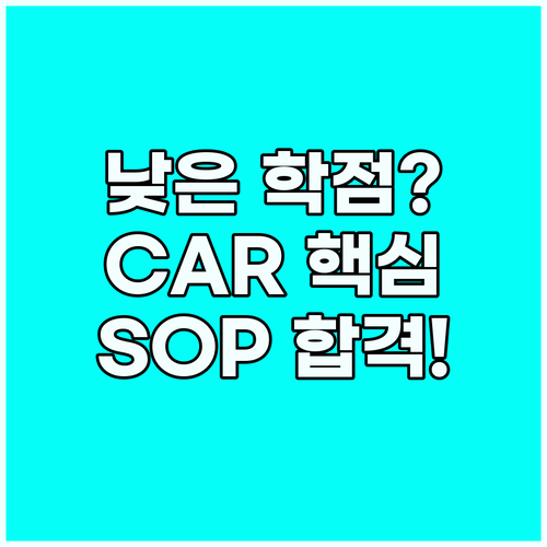 합격 보장 영어 SOP CAR 기법으..