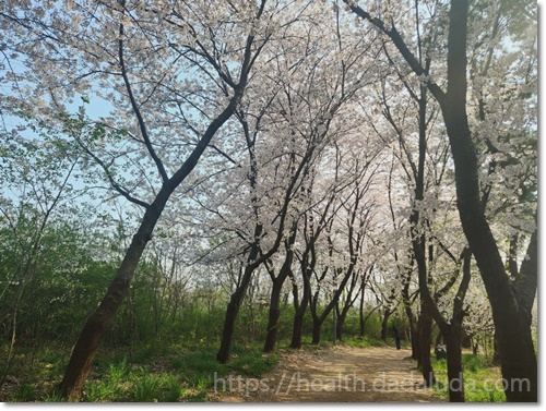 영종도 둘레길 1코스 건강백년길 주차장