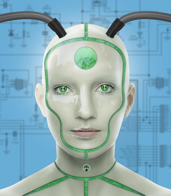 AI 생태계 관련 이미지