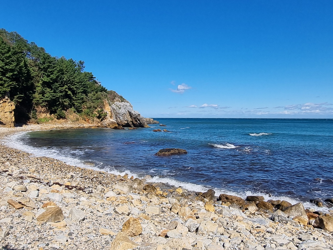 동해 가볼만한곳 천곡항 후기 &amp;#124; 수상 레저와 감성돔 낚시&amp;#44; 작은 항구 매점