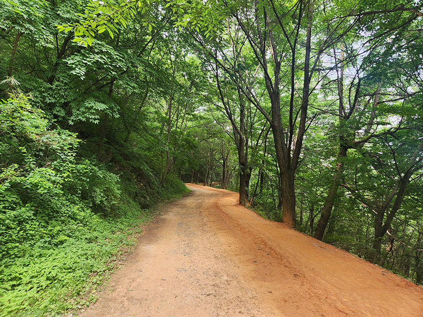계족산 황토길 트레킹