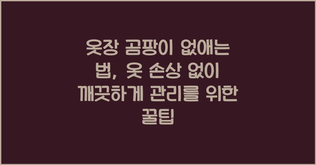 옷장 곰팡이 없애는 법, 옷 손상 없이 깨끗하게 관리하는 꿀팁