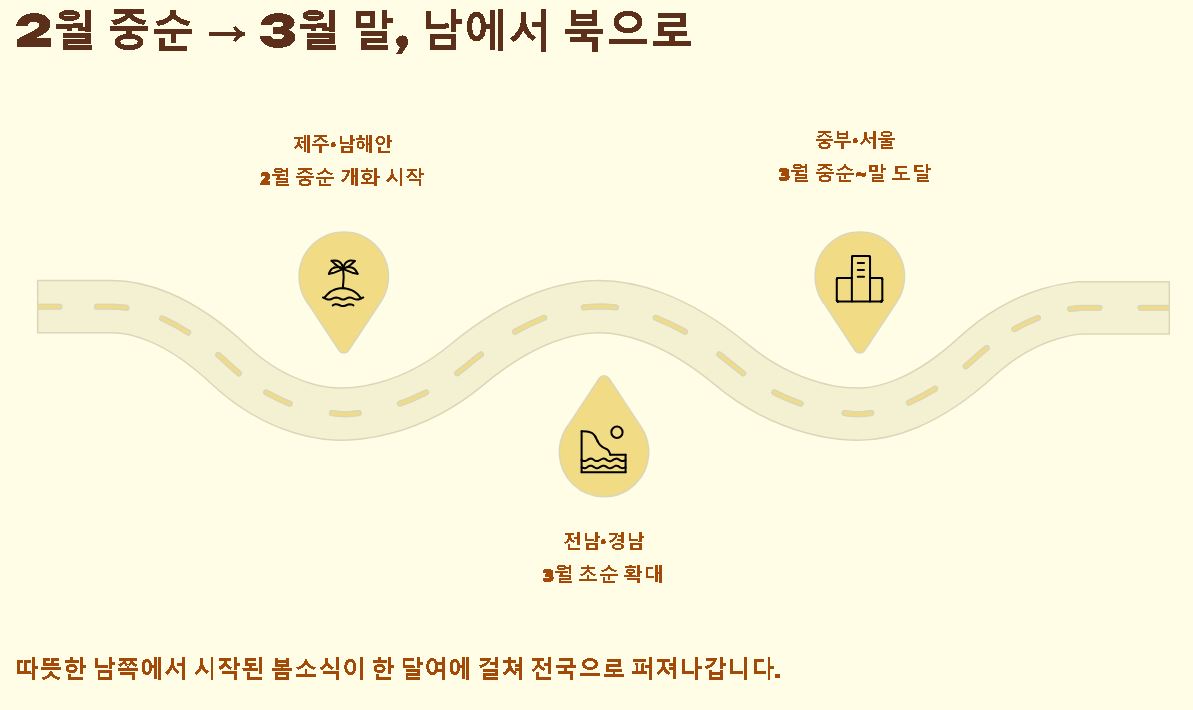 매화 개화시기 미리보기