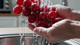 &quot;과일과 채소 농약 제거법: 올바른 세척법 TOP 5&quot;