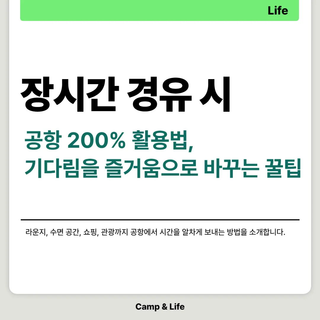 장시간 경유(레이오버) 시 공항 200% 활용법
