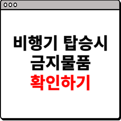 비행기 탑승시 금지물품 확인하기