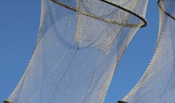 디딤돌 대출 받고도 후회하는 이유(절차 중 꼭 알아야 할 함정 3가지) 관련 사진