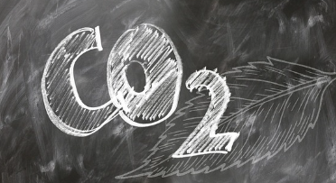 파래무침 만드는 법