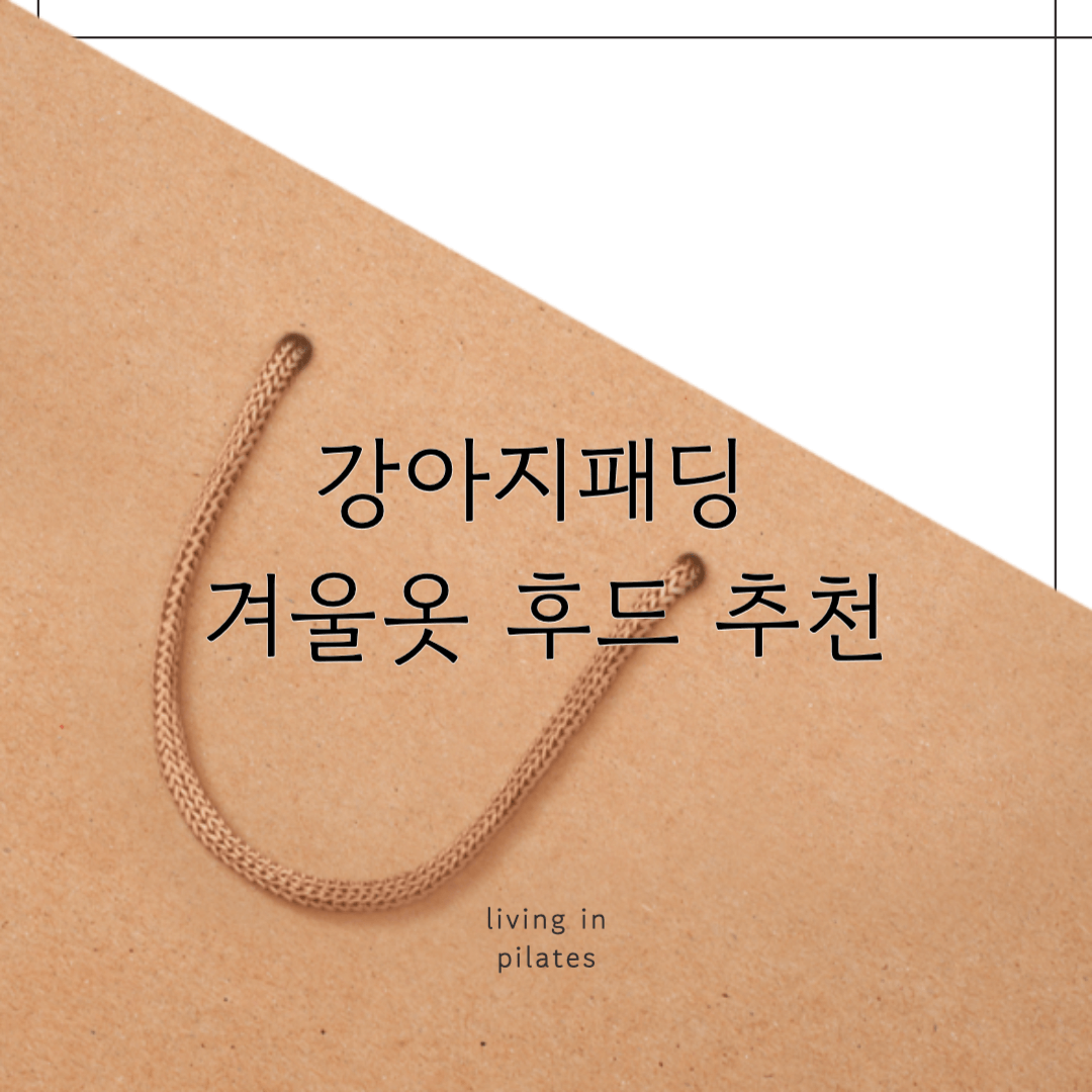 강아지패딩 겨울옷 후드 추천