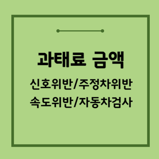 자동차-과태료