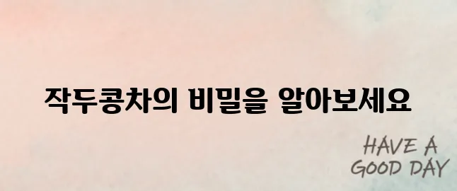 작두콩차 효능과 부작용