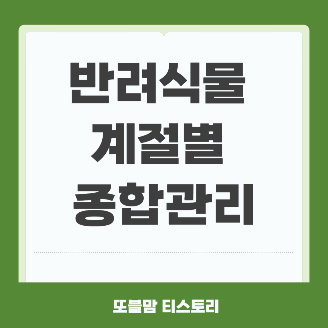 반려식물 계절별 관리법