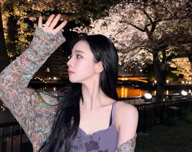 카리나 벚꽃 인스타