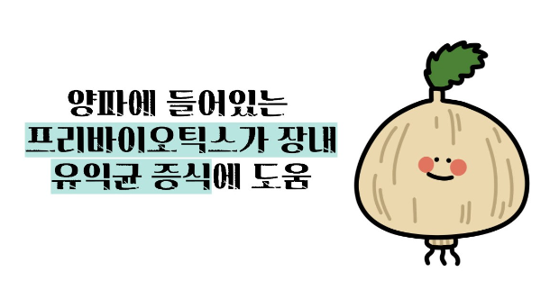 양파즙 효능 고혈압