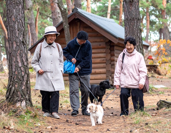 국립자연휴양림에서 쉬는 사람들 모습