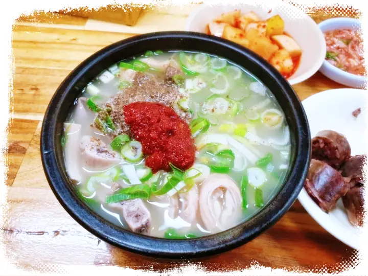 굿모닝대한민국라이브 머리고기 순대국밥 강원 원주 맛집 위치