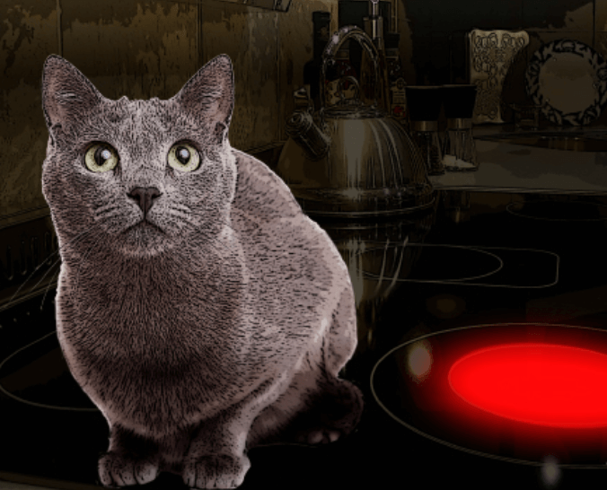 핫플레이트 vs 인덕션