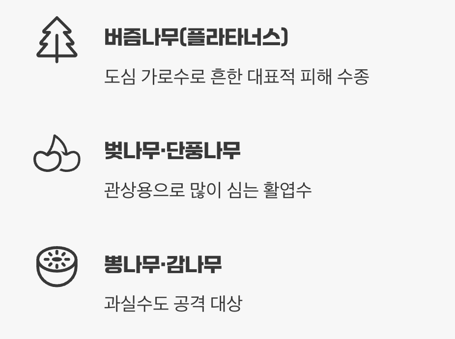 나방이 좋아하는 나무는 따로 있다