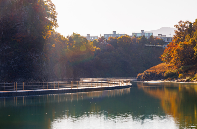 철원 한탄강 물윗길