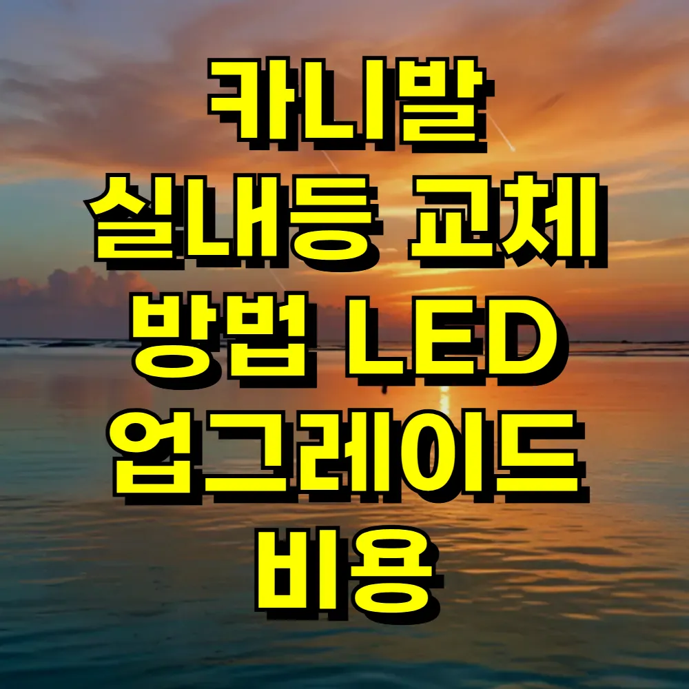 카니발 실내등 교체 방법 LED 업그레이드 비용