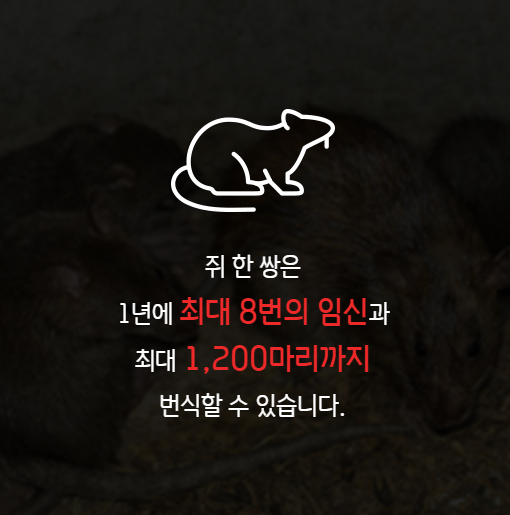 세스코 가정집 비용 아파트,원룸,투룸 가격 (셀프진단)