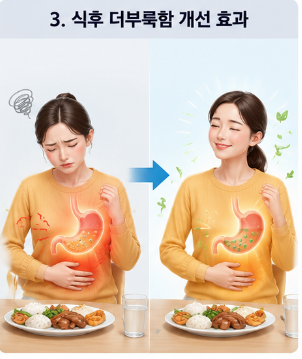 캡슐레이션효소-내돈내산-변비-효과-복용법-구입처-가격