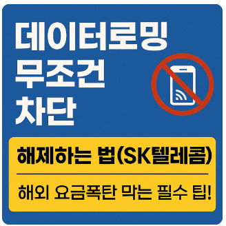데이터로밍