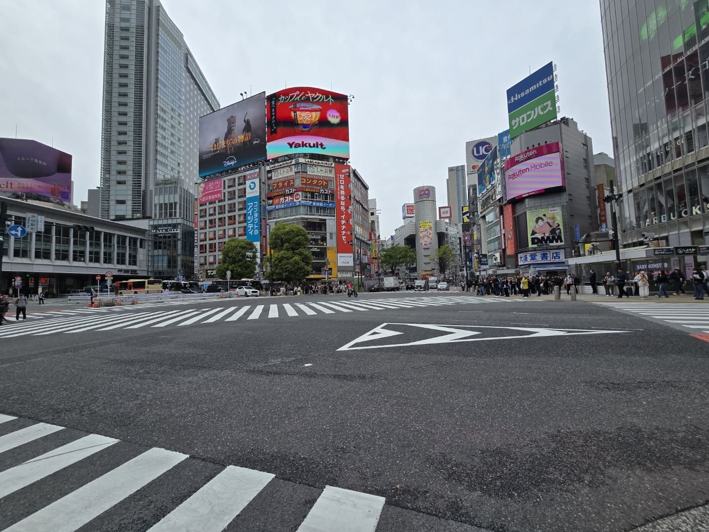 시부야 스크램블 교차로