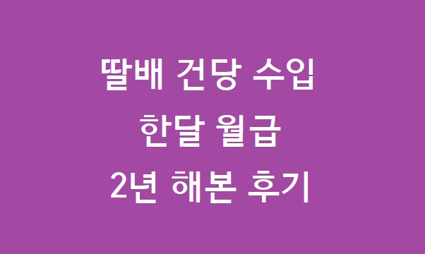 딸배 수입