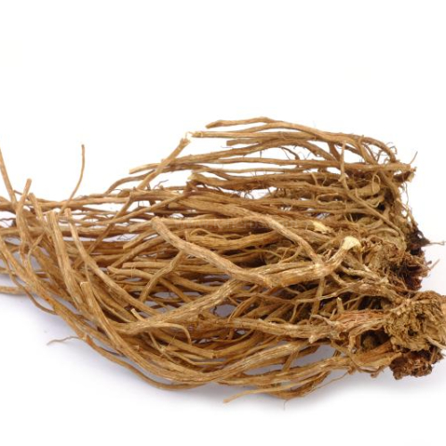 엉겅퀴 뿌리 / ThistleRoot