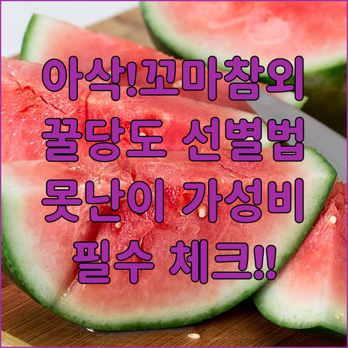 아삭한 꼬마 참외 당도 높은 특징과 ..