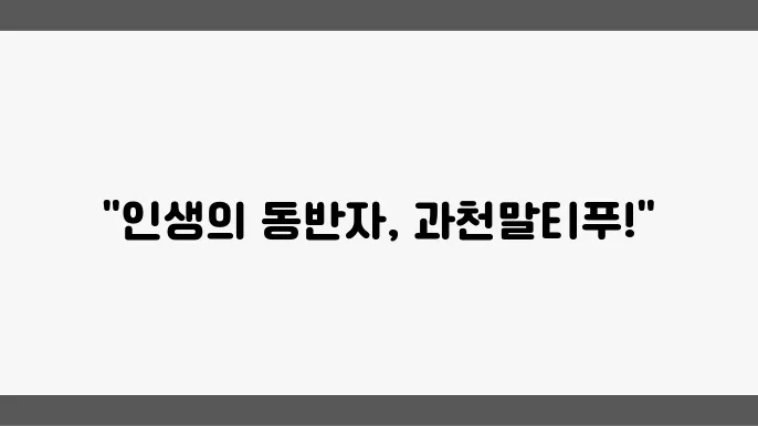 과천말티푸분양 알아봅니다