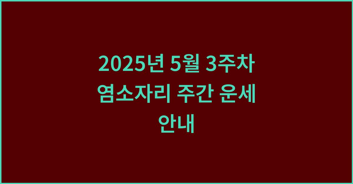 2025년 5월 3주차 염소자리 이번주 운세