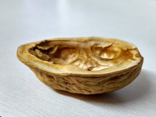 호두 영양가, 효능, 다양한 요리 아이디어, 섭취 시 주의사항 안내