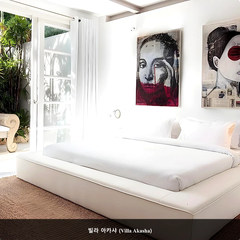 빌라 아카샤 (Villa Akasha)_5