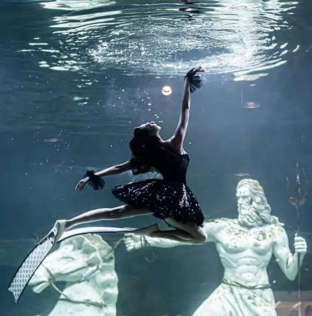 대전 엑스포 아쿠아리움