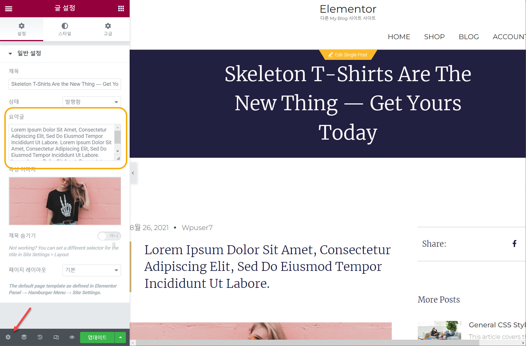 엘리멘터 페이지 빌더 포스트 요약글 설정하기