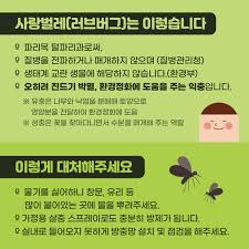 🚫 해충박사가 알려주는 러브버그 퇴치법 BEST 6