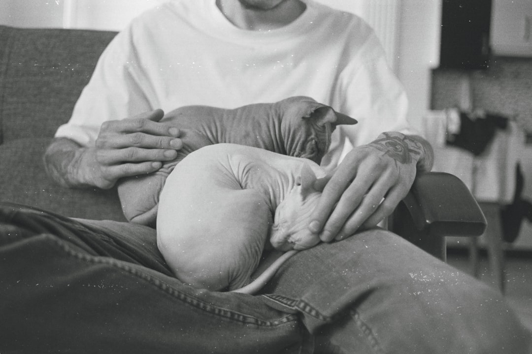 birth allowance