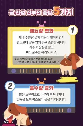 강아지 신부전에 좋은 음식 추천_7