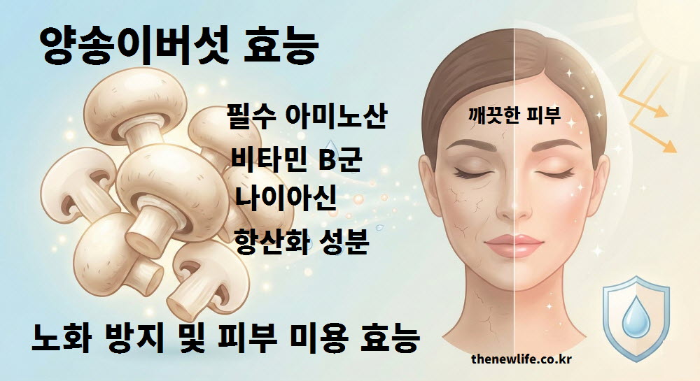 양송이버섯 효능 중 노화 방지와 피부 미용 효과를 설명하는 인공 이미지