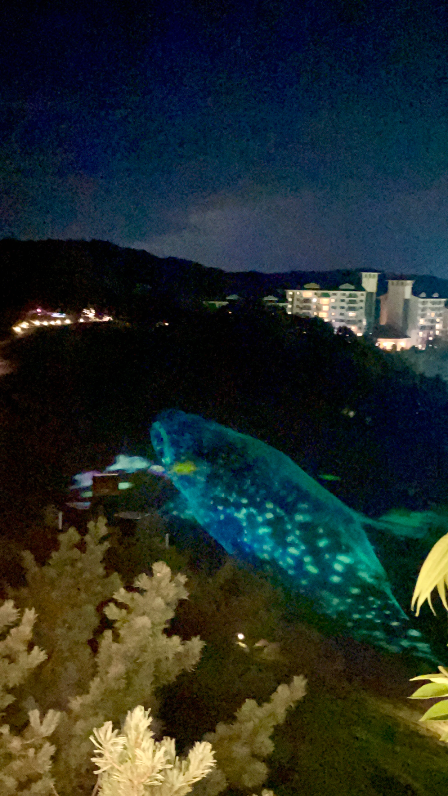 오크밸리CC 별빛 파도의 노래 감상6