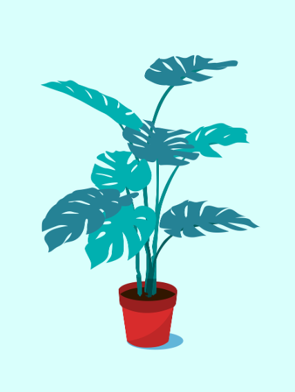 실내 공기 질의 건강에 영향을 미치는 공기 정화 식물 TOP 10