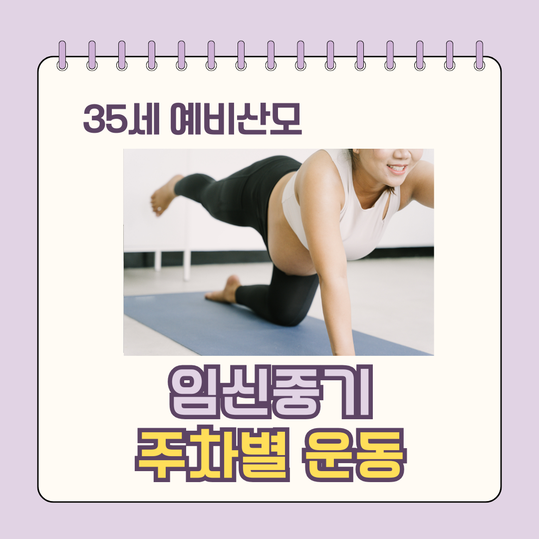 임신중기 운동