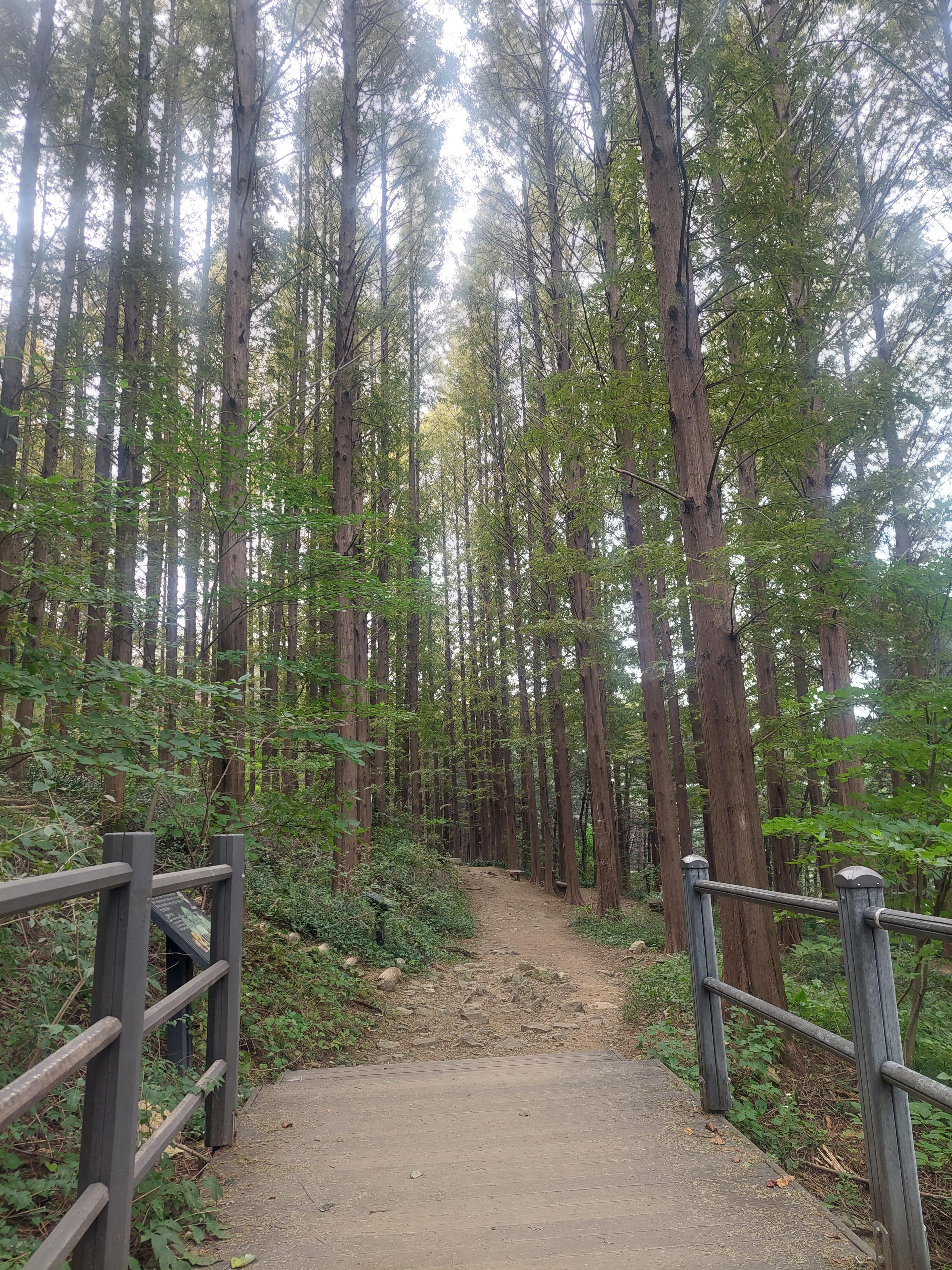 안산