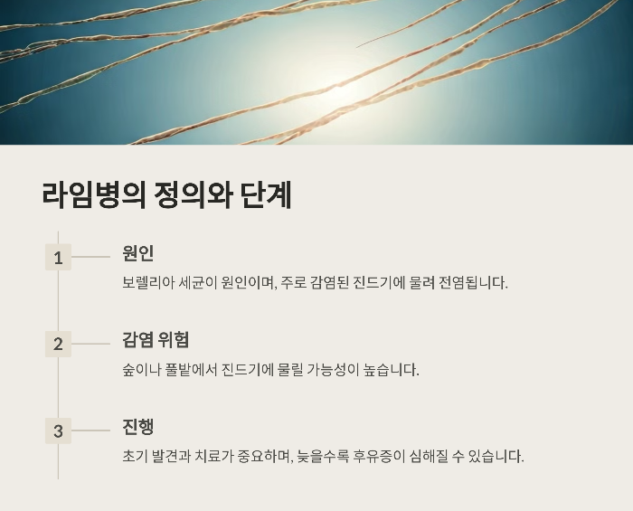 라임병이란?