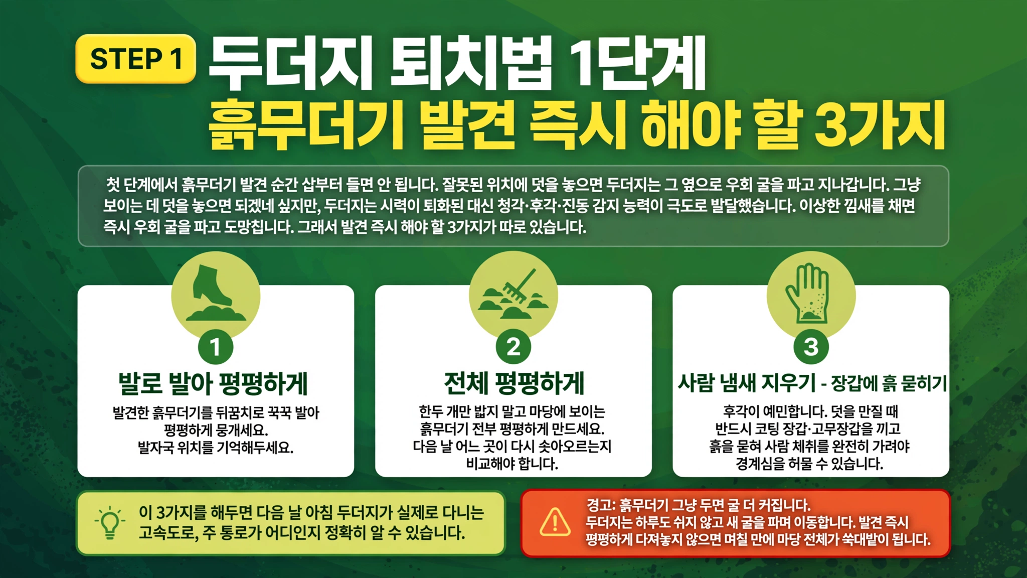 황서현 평균대 금메달