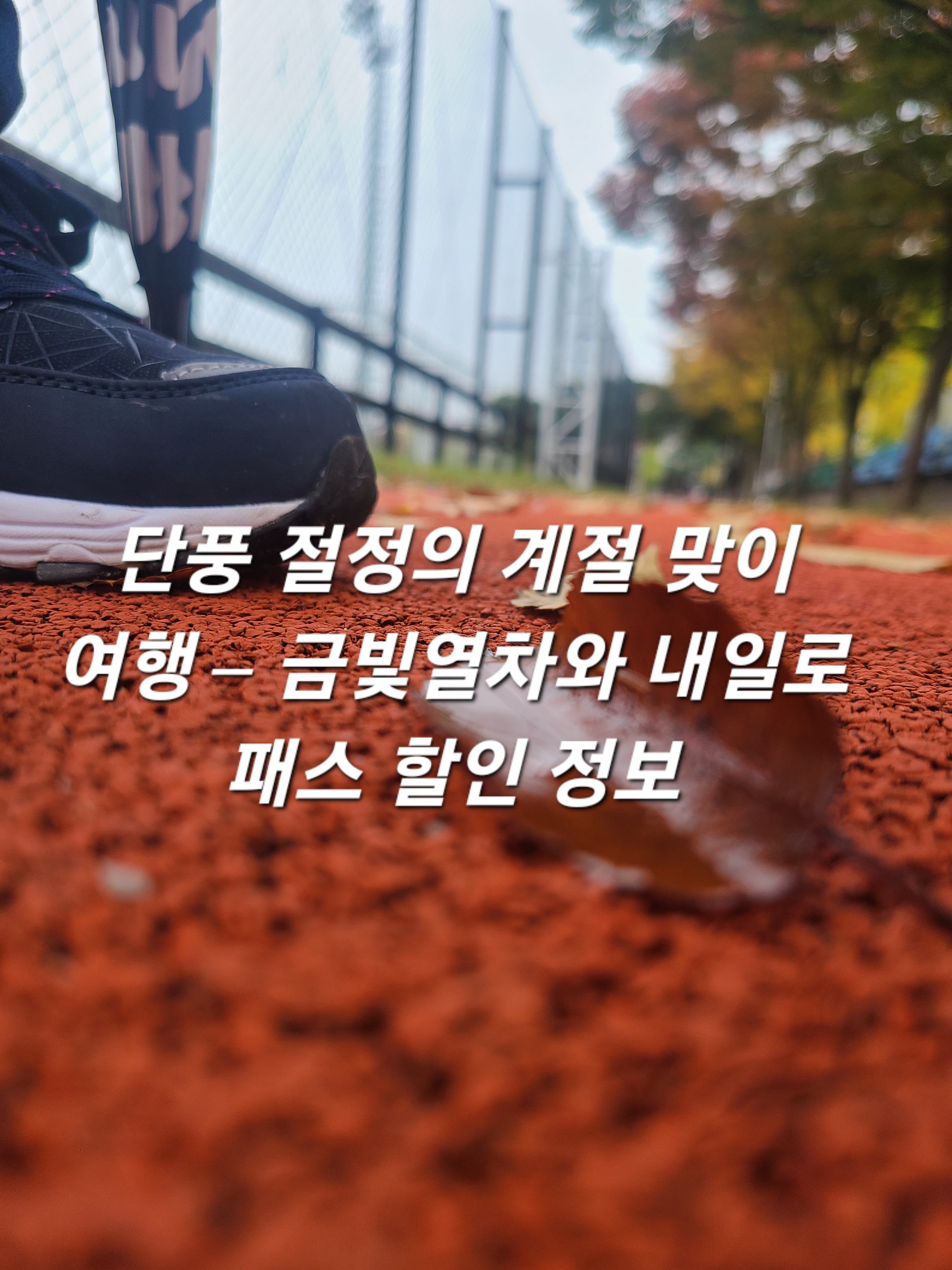 2024년 11월 단풍 절정의 계절 맞이 여행 – 금빛열차와 내일로 패스 할인 정보글씨와 발과 낙엽이 어우러진 가을 운동장 사진